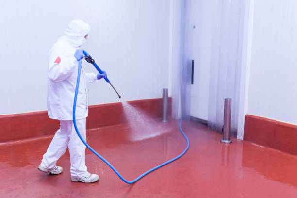 Best Solar Panel Cleaning  in Medford, NY
