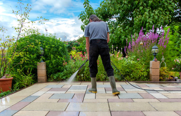 Best Fence Cleaning  in Medford, NY